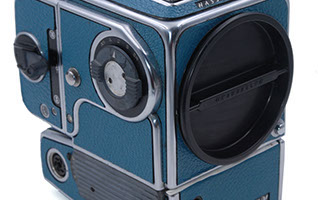 Embossed Moroccan Leather