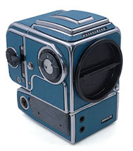 Embossed Moroccan Leather