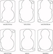 Black Stingray Leather